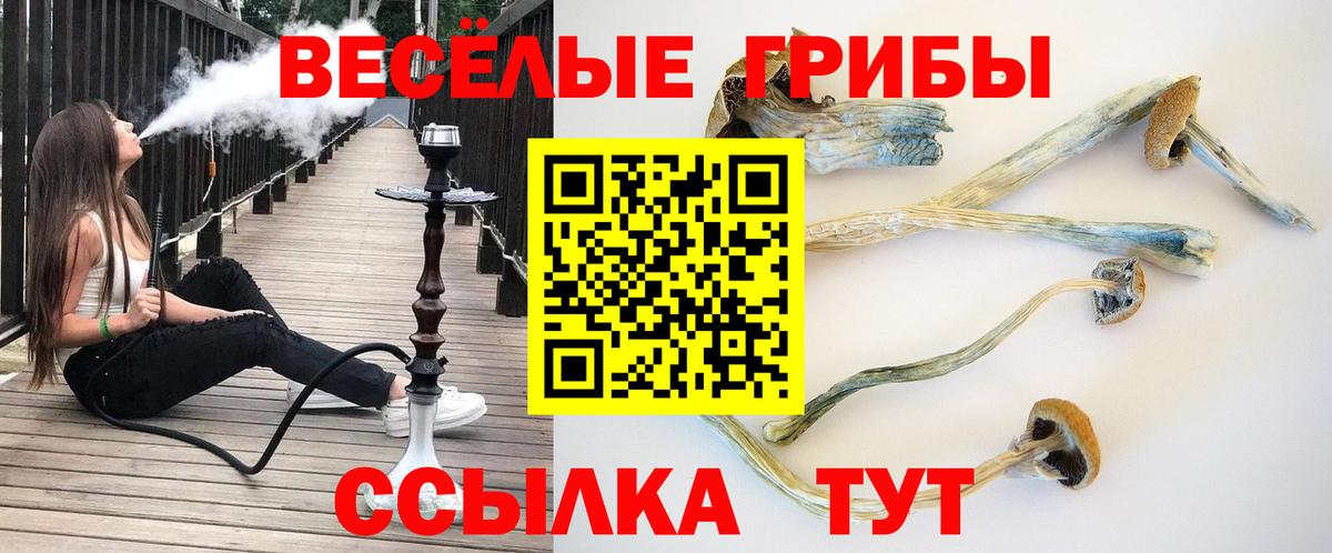 Галлюциногенные грибы мухоморы Будённовск