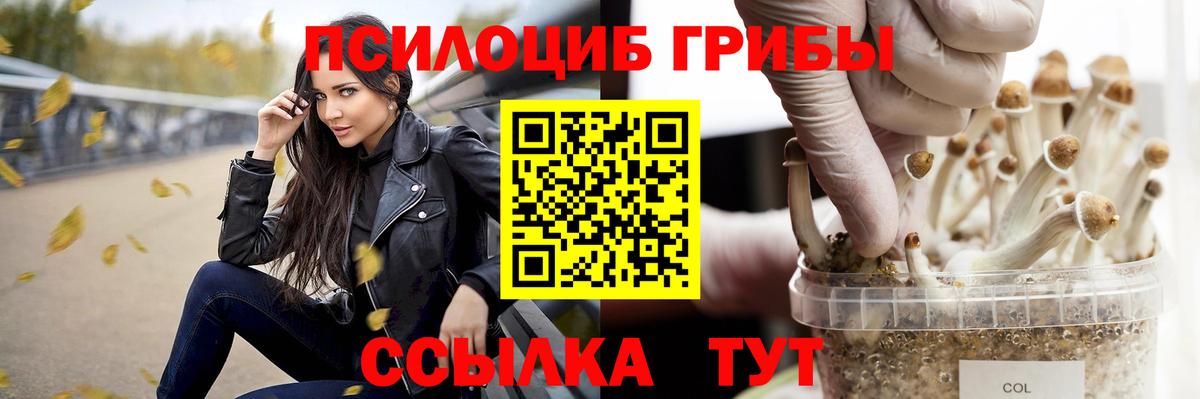 Галлюциногенные грибы GOLDEN TEACHER  Будённовск 